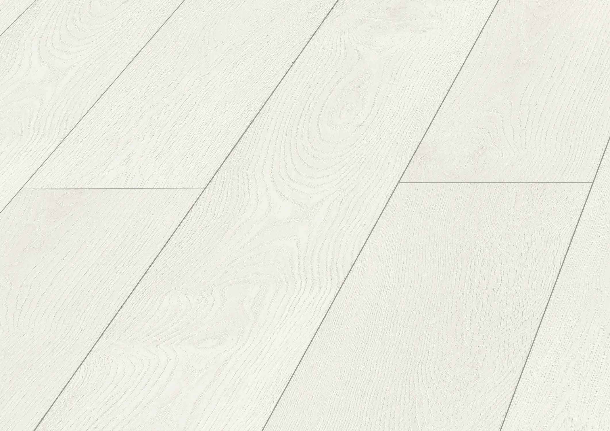 Ferrara Oak
