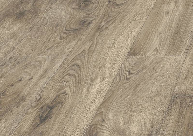 Aladdinl Oak
