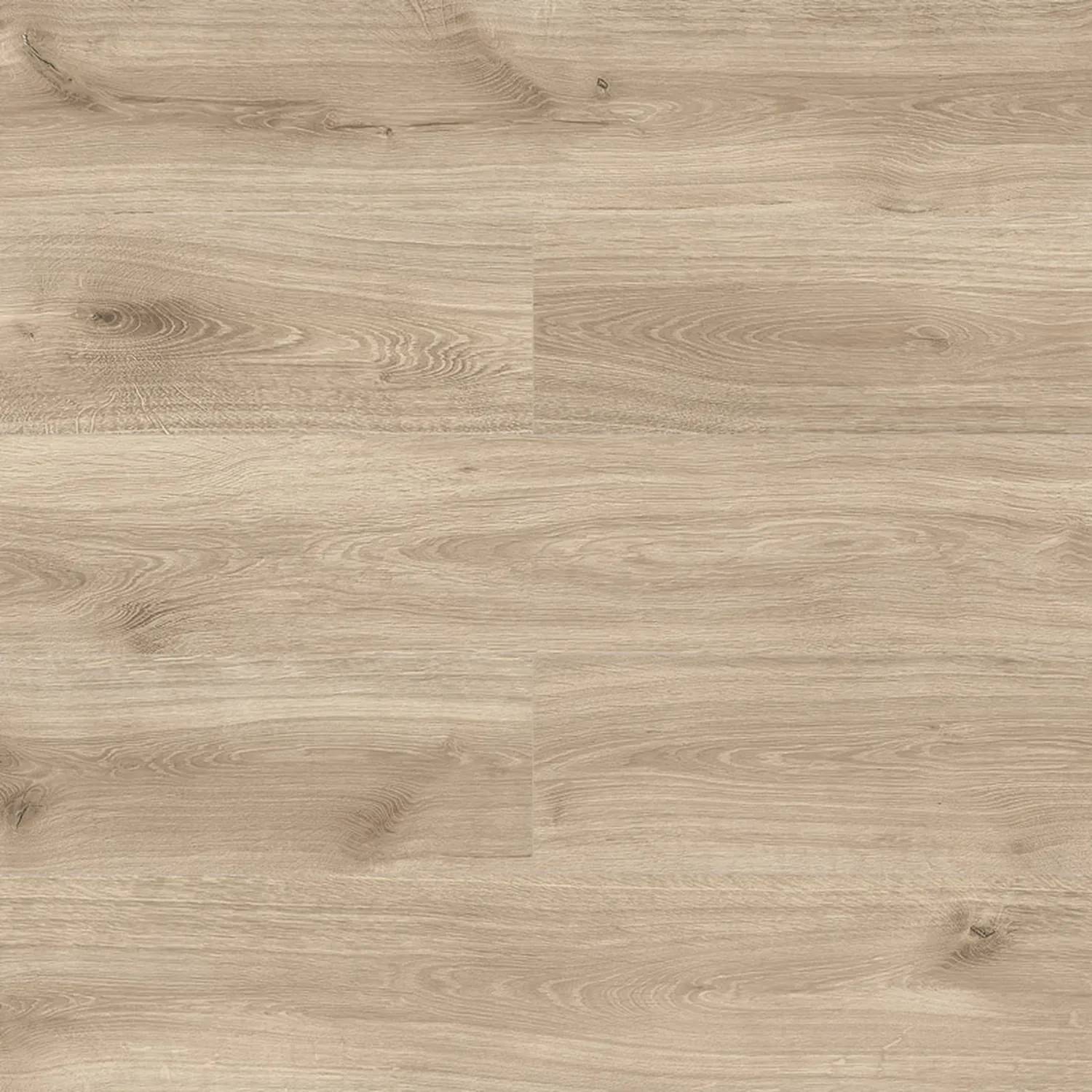 Venice Oak