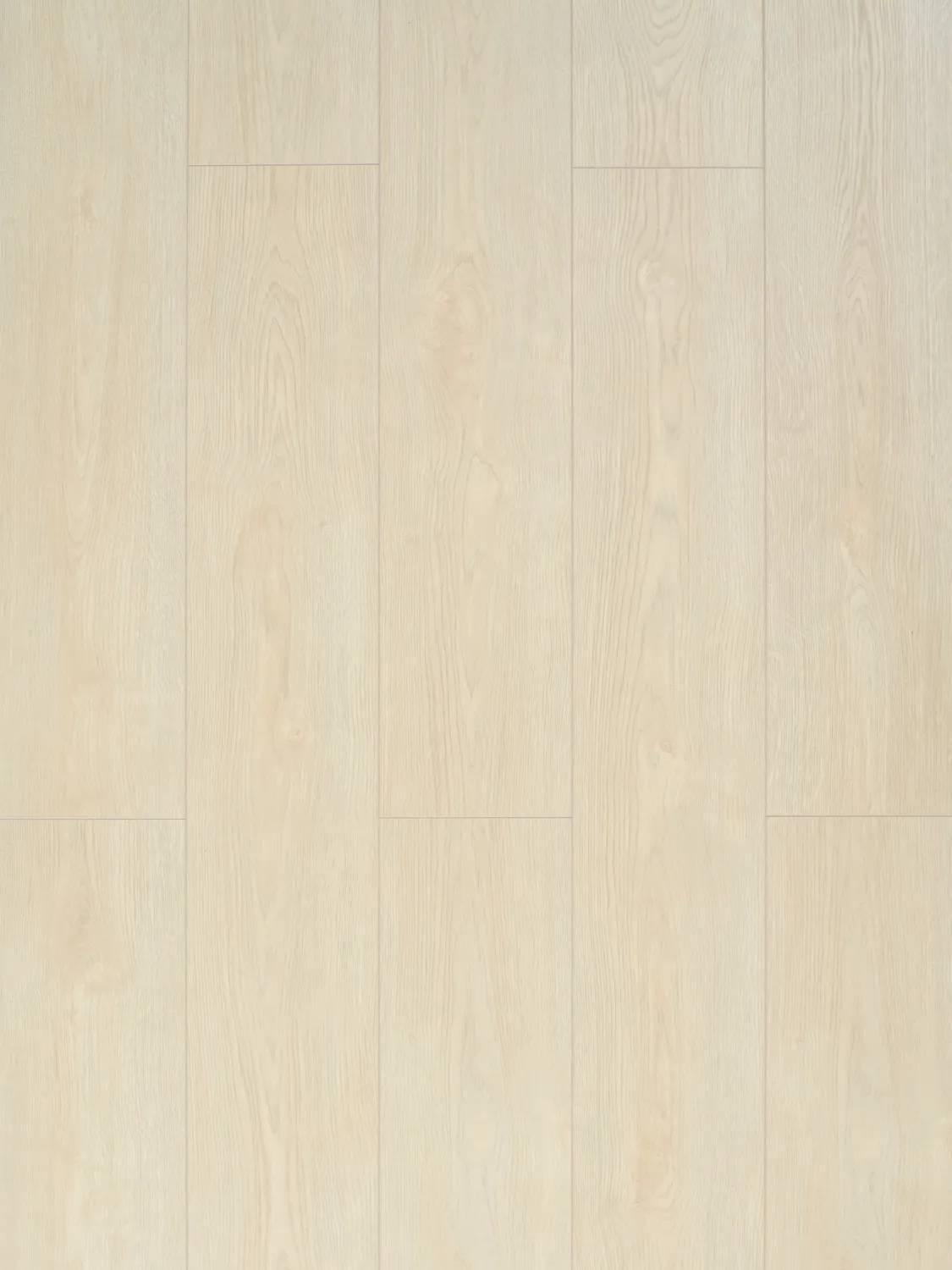 Дуб • Руби серебристый