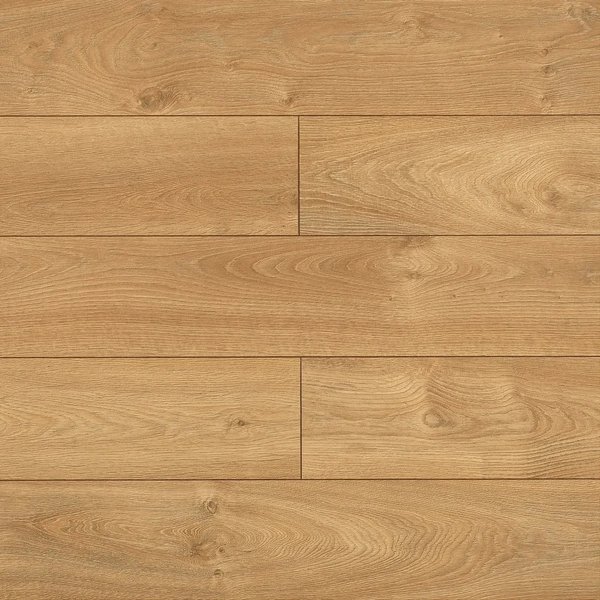 Livorno Oak