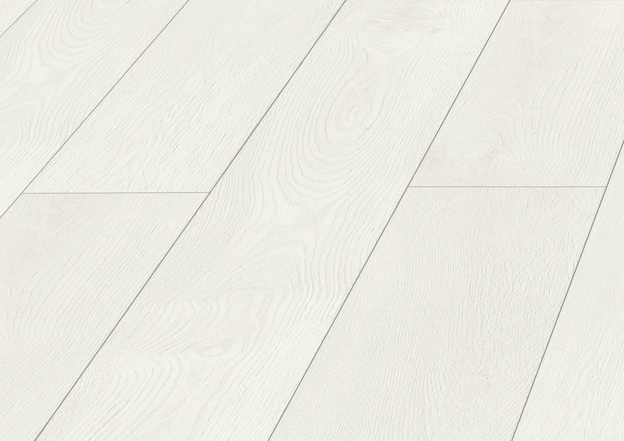 Ferrara Oak