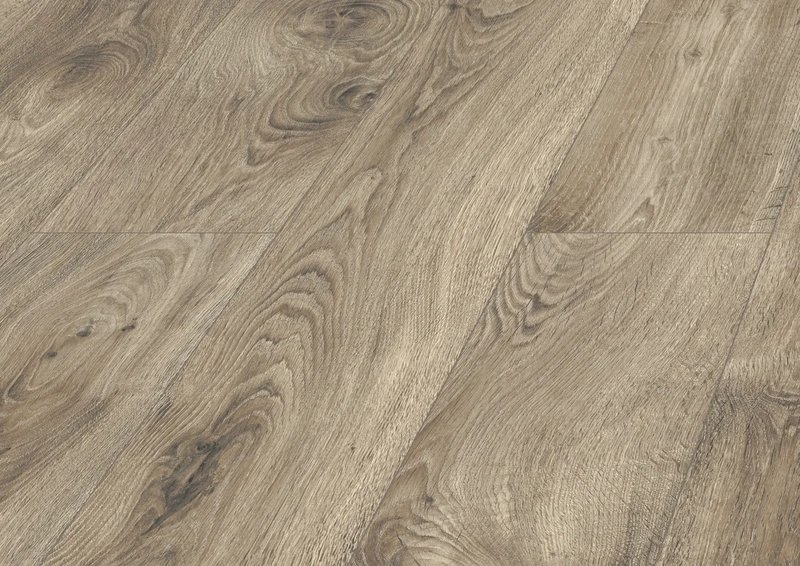 Aladdinl Oak