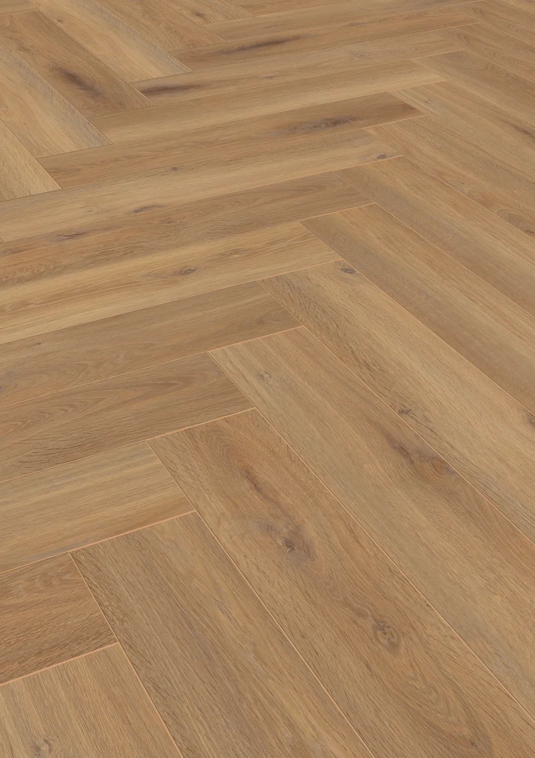 Pisa Oak