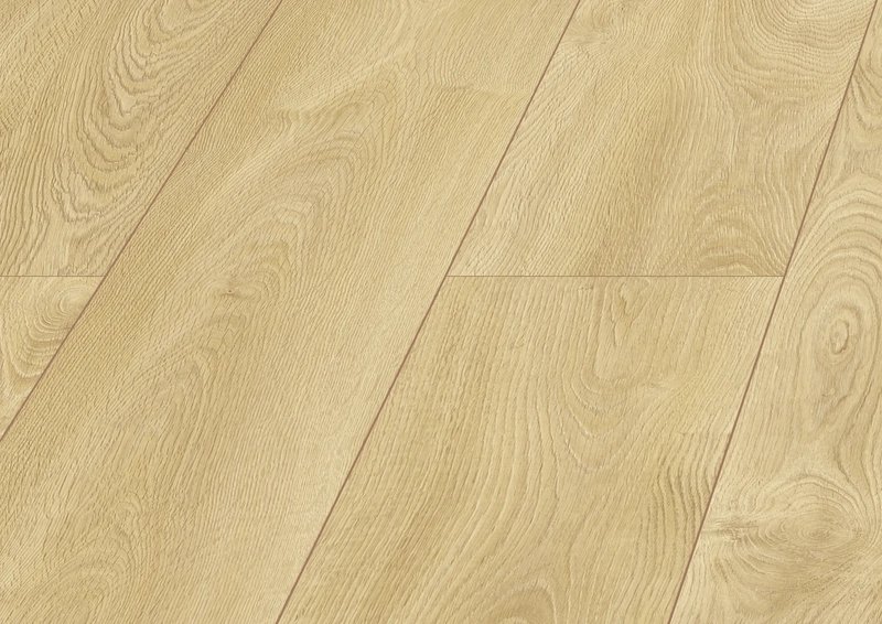 Dominican Oak