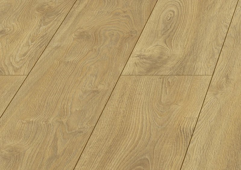 Mauritius Oak