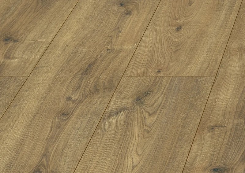 Cuba oak