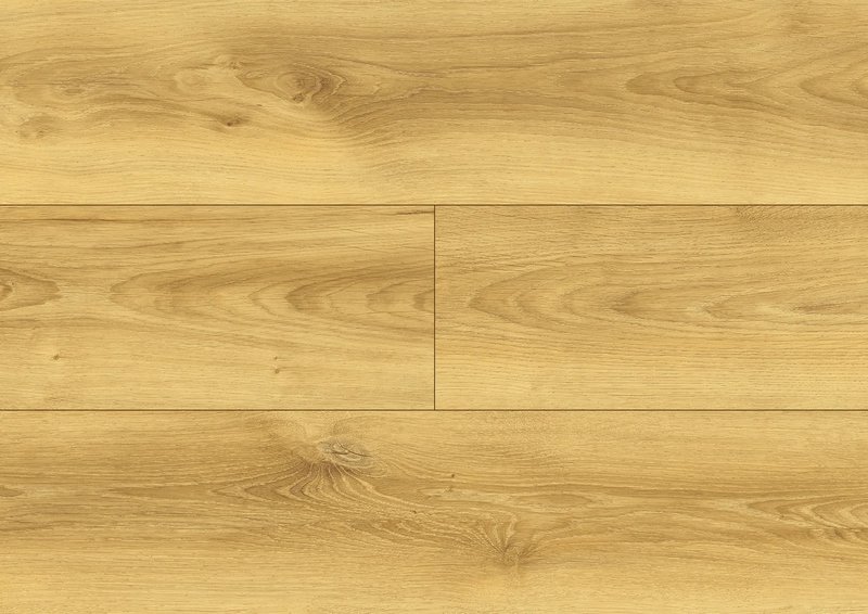Coletta Oak