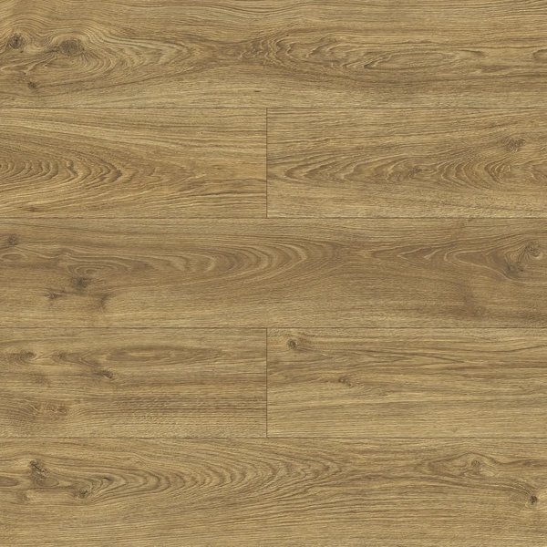 Urania Oak