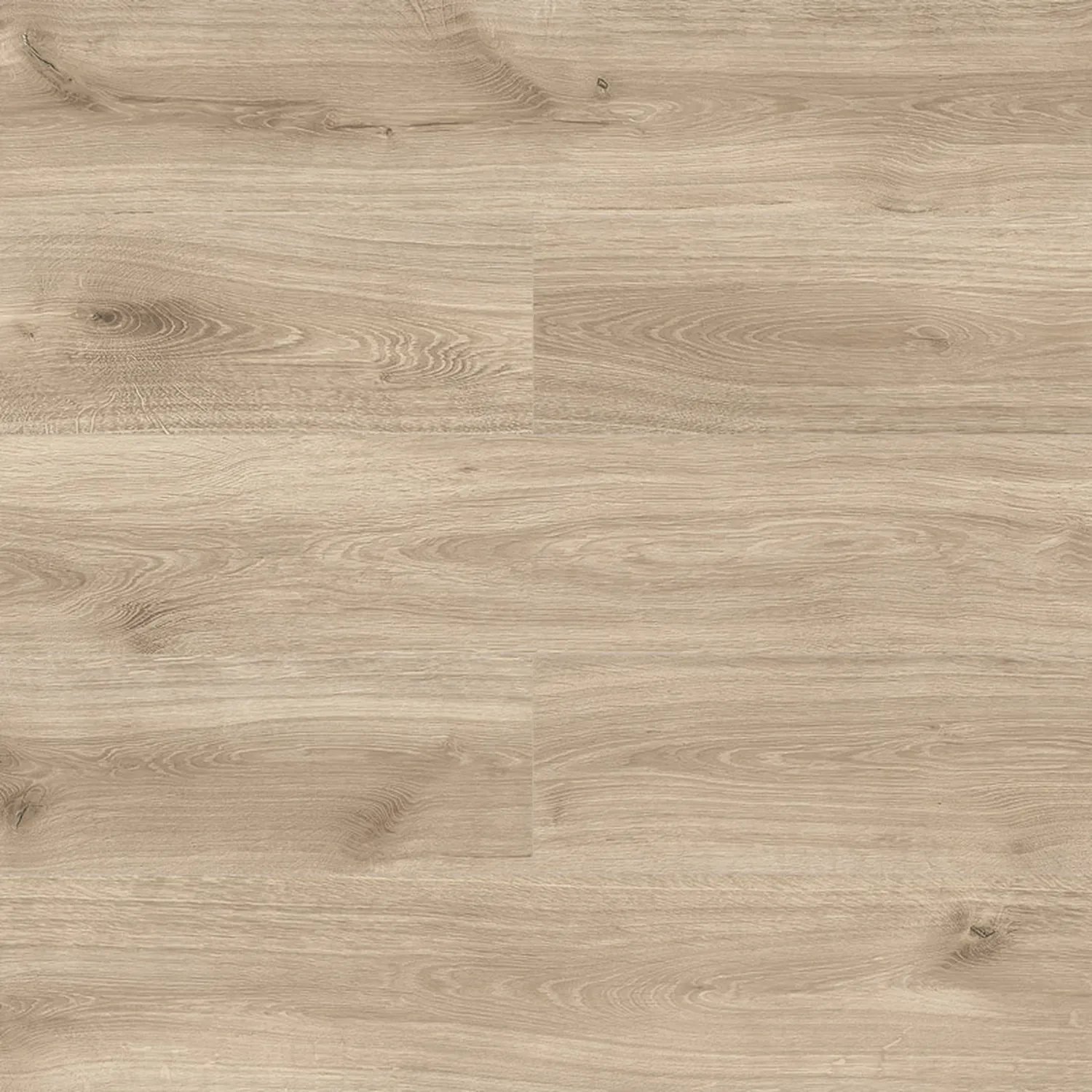 Venice Oak